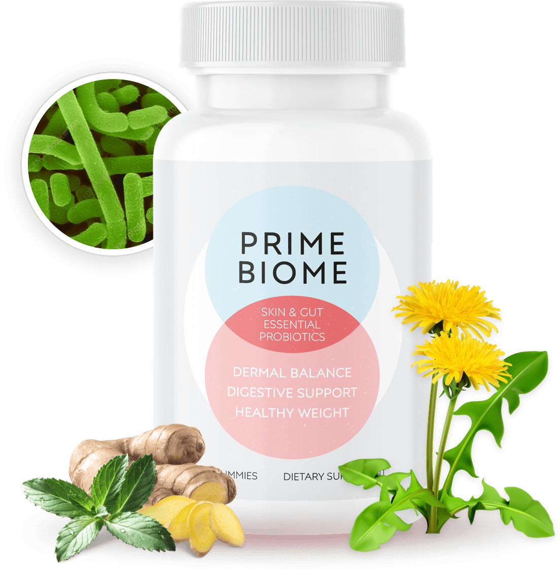 PrimeBiome product bottle - probiotic gummy supplement